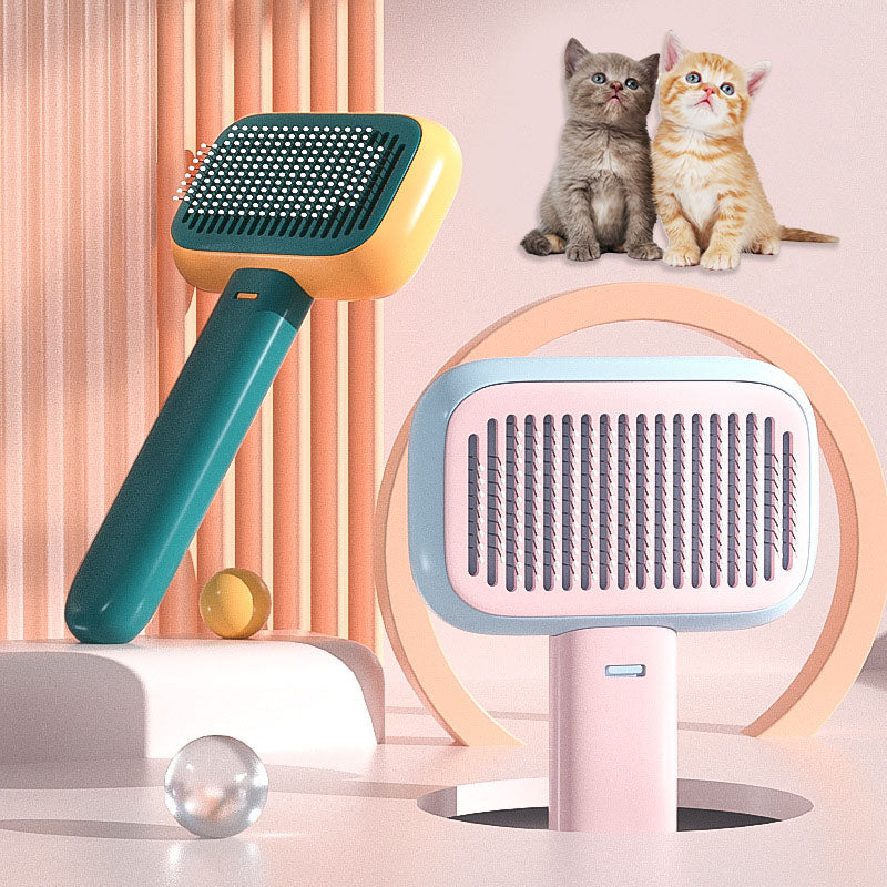 Grooming & Training