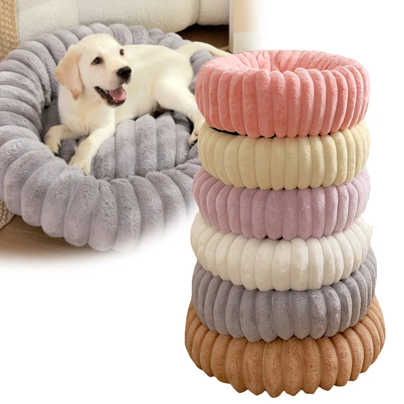 Beds & Cozy Spots